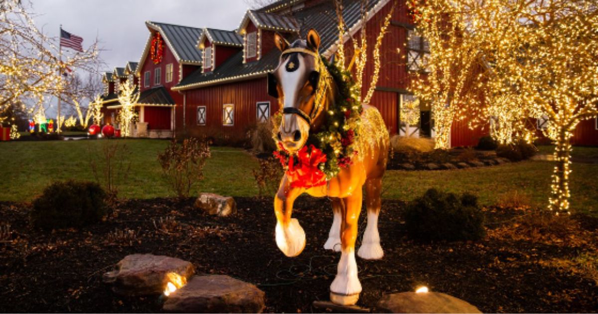 Warm Springs Ranch Christmas with the Budweiser Clydesdales